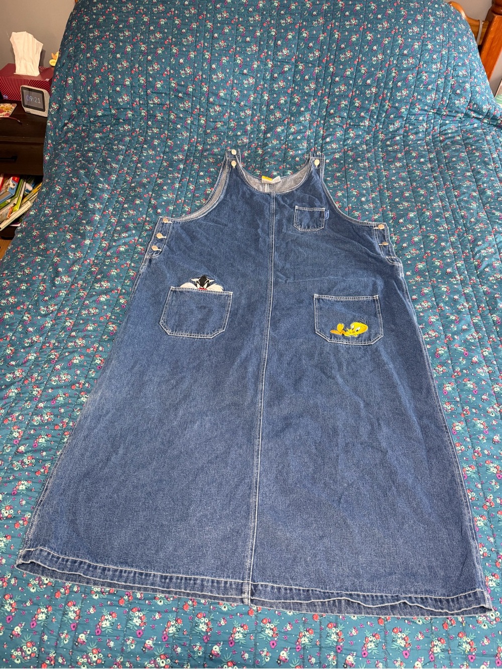 Women’s Looney Tunes size 24W jumper